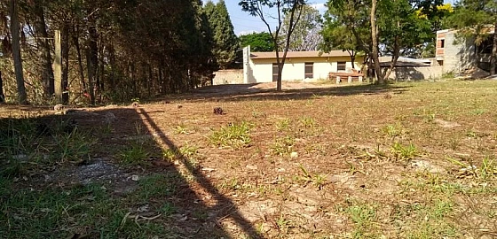 Foto imóvel