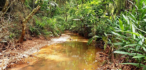 Foto imóvel